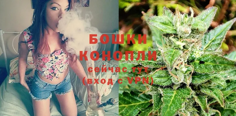 Конопля THC 21%  наркошоп  Козловка 